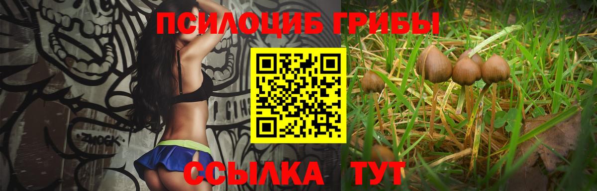 Радужный  Псилоцибиновые грибы Cubensis  Псилоцибиновые грибы ЛСД  Вход с VPN 